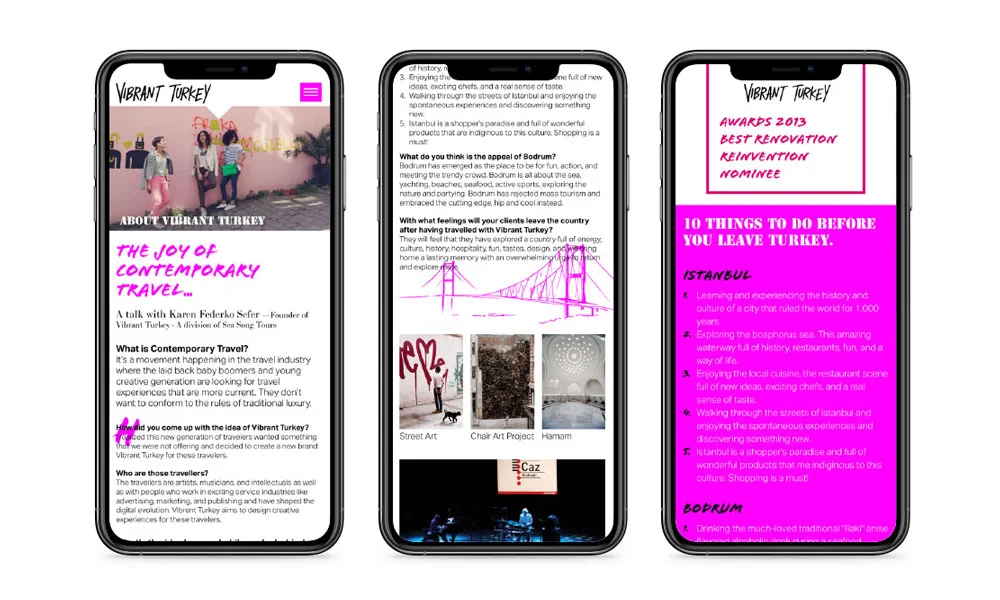 Vibrant Turkey Website — Next project by Ediz Pinar Studio™